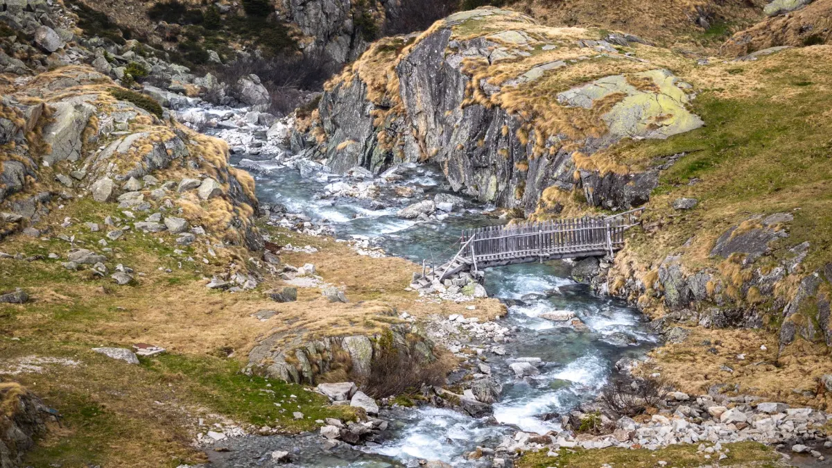 Meilleure saison pour randonner les Gorges du Tarn : guide complet 2026